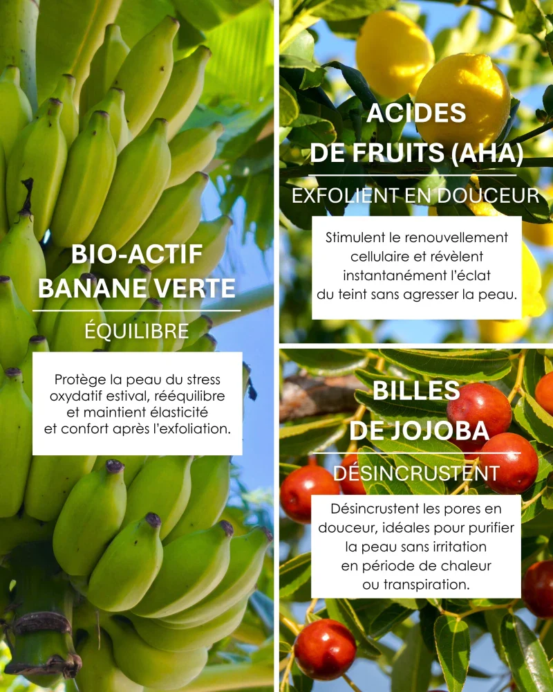 Masque Peeling Exfoliant Bio à la Banane Verte 50ml I MUSACLEAN - Image 14